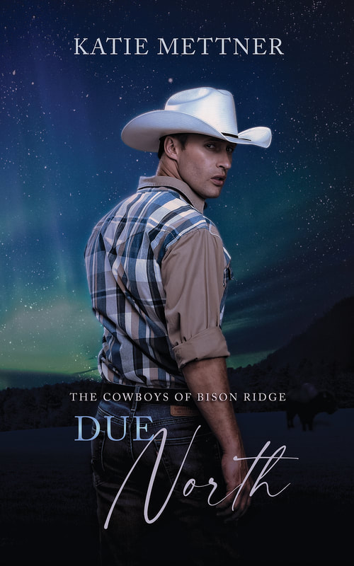 A man in a long sleeved plaid and tan flannel shirt and jeans with a white cowboy hat has his body turned away from the viewer. It is nighttime and the background is the northern lights. It says, "Cowboys of Bison Ridge, Due North, Katie Mettner"