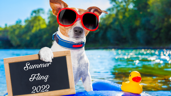 A small dog wearing red sunglasses floating on the lake is holding a sign that says Summer Fling 2022
