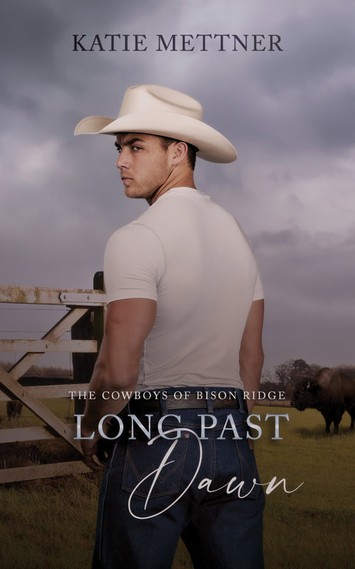A man in a white t-shirt and jeans with a white cowboy hat has his back turned to the viewer. He is standing next to  a wooden gate as clouds gather in the sky. There is a field of bison in the background. It says, "Cowboys of Bison Ridge, Long Past Dawn, Katie Mettner"